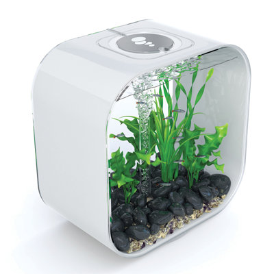 Fish Tanks Aquariums You ll Love Wayfair Fish Tanks Aquariums You ll Love Wayfair
